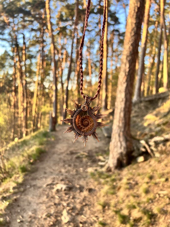 Solmirea